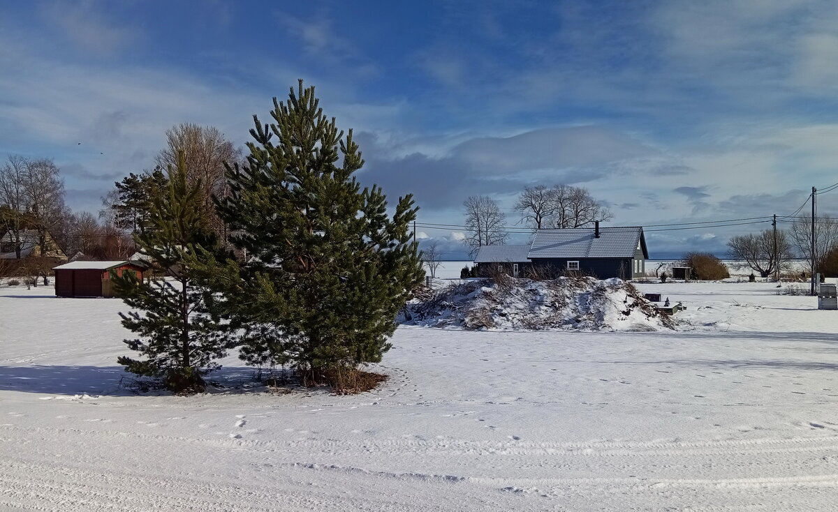 Февраль..ветренно .. - Татьян@ Ивановна