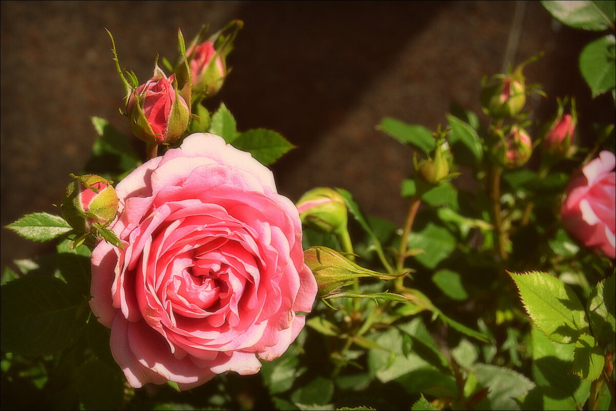 С НАЧАЛОМ ВЕСНЫ !!! - Татьяна Касьяненко С НАЧАЛОМ ВЕСНЫ !!! - Татьяна Касьяненко