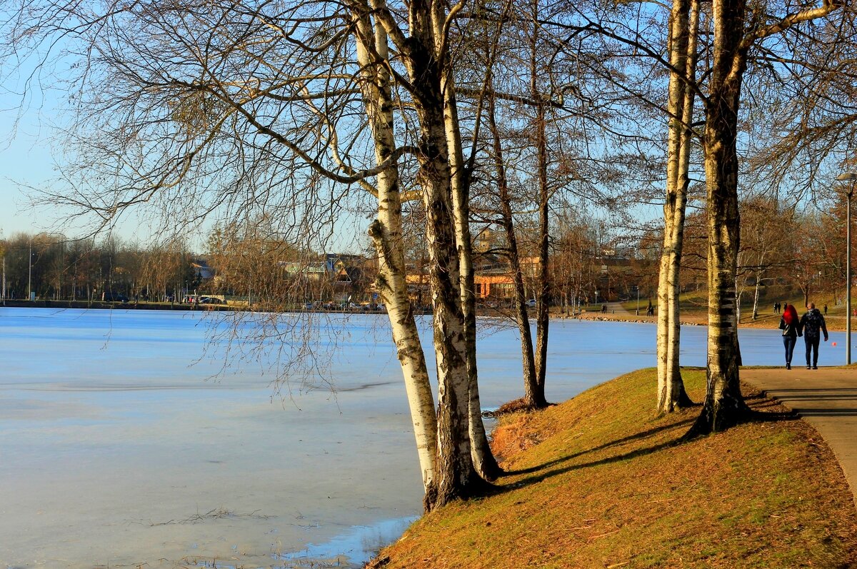 Весеннее солнце - Юрий. Шмаков Весеннее солнце - Юрий. Шмаков