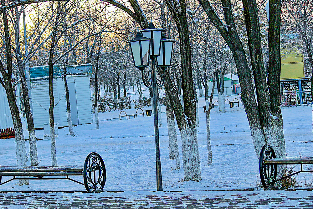 Вечер в зимнем парке - Светлана SvetNika17 Вечер в зимнем парке - Светлана SvetNika17