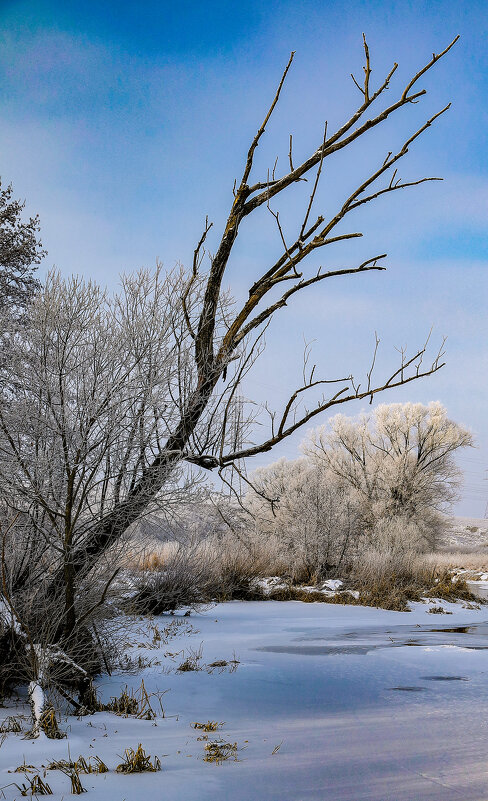 Утро на реке - Владимир Мисик