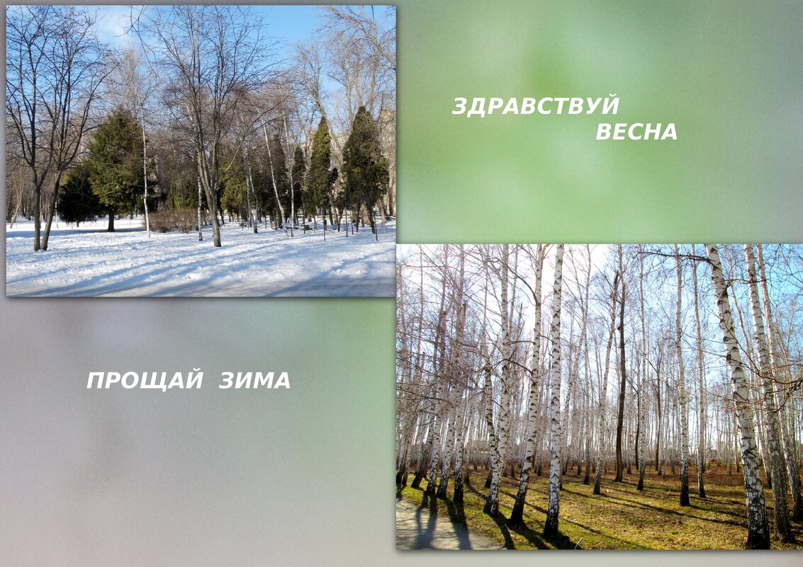 С первым днём весны! - Тамара (st.tamara) С первым днём весны! - Тамара (st.tamara)