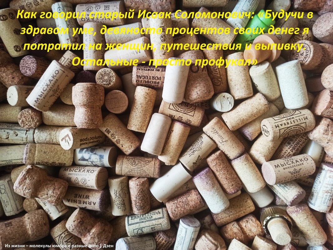 Из истории жизни - svk *