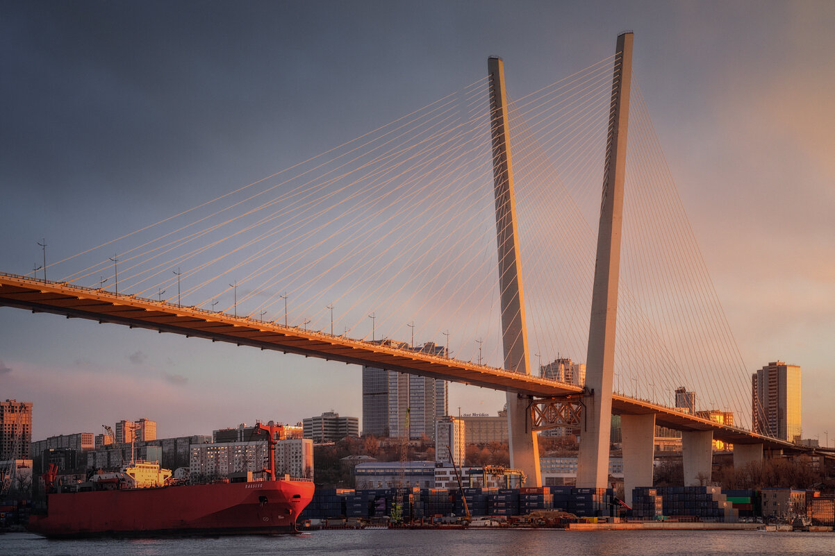 "V" значит Владивосток - Дмитрий Шишкин "V" значит Владивосток - Дмитрий Шишкин