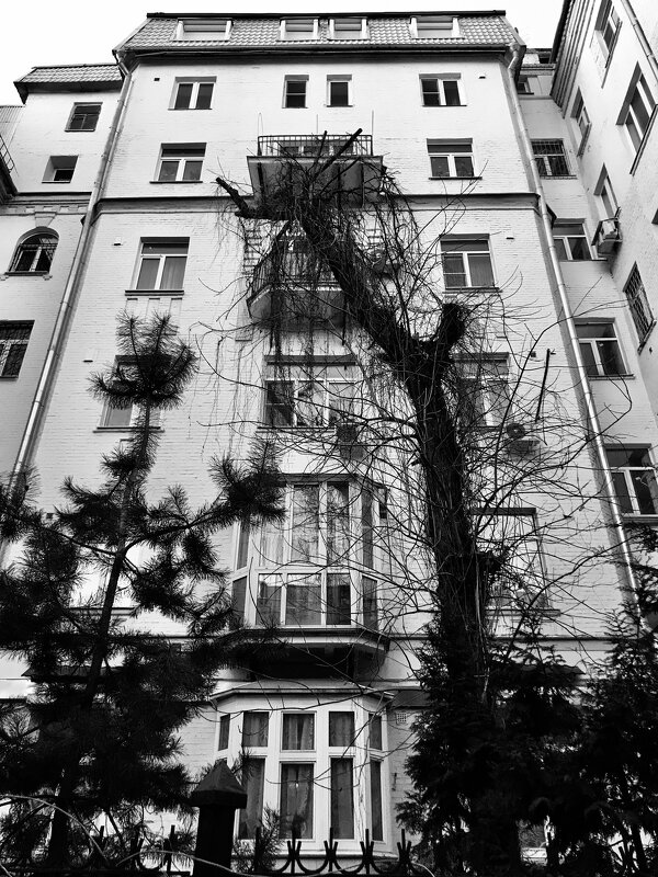 Московский домик. - Любовь Московский домик. - Любовь