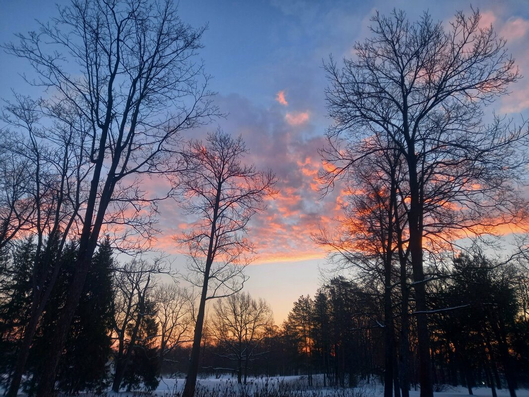 Рассвет - Сапсан 