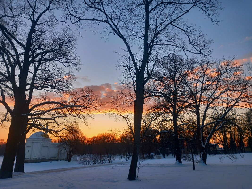 Рассвет - Сапсан 