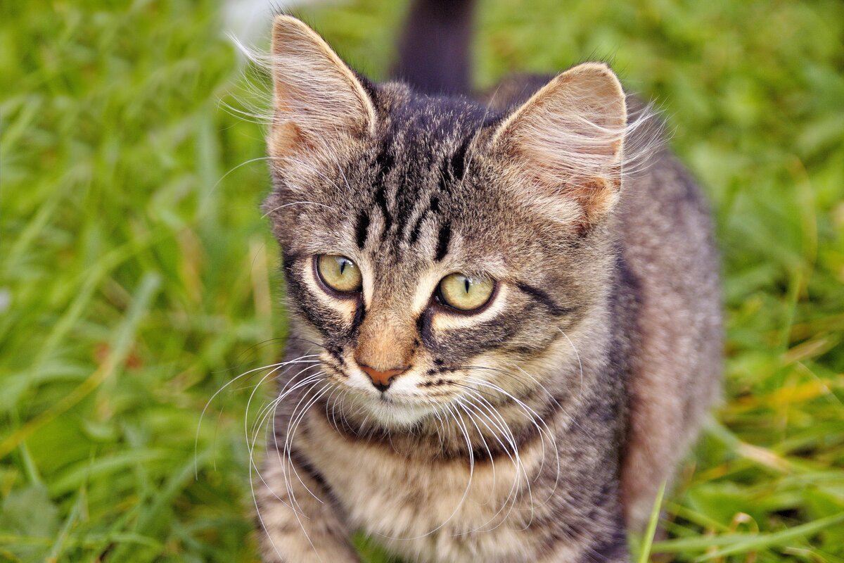 Вася - Валерий Судачок Вася - Валерий Судачок