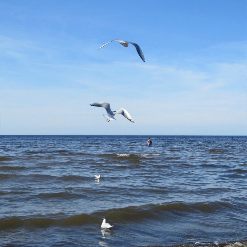 море - марта Камушкина