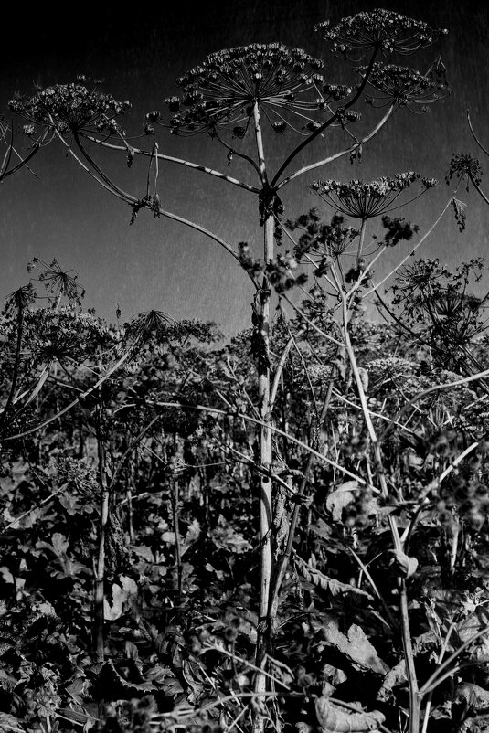 Название отсутствует - Денис Безногов