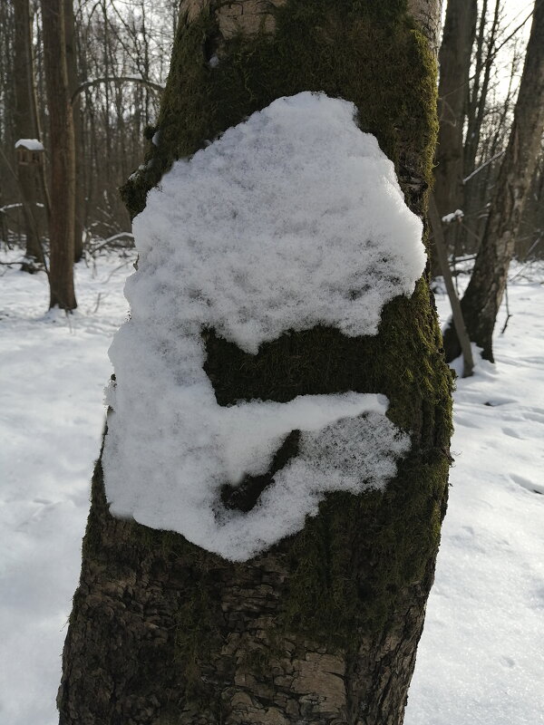 КАКОЙ ЖЕ ТЫ КРАСИВЫЙ - ПЛАТОЧЕК КРУЖЕВНОЙ - Юрий Вовк КАКОЙ ЖЕ ТЫ КРАСИВЫЙ - ПЛАТОЧЕК КРУЖЕВНОЙ - Юрий Вовк