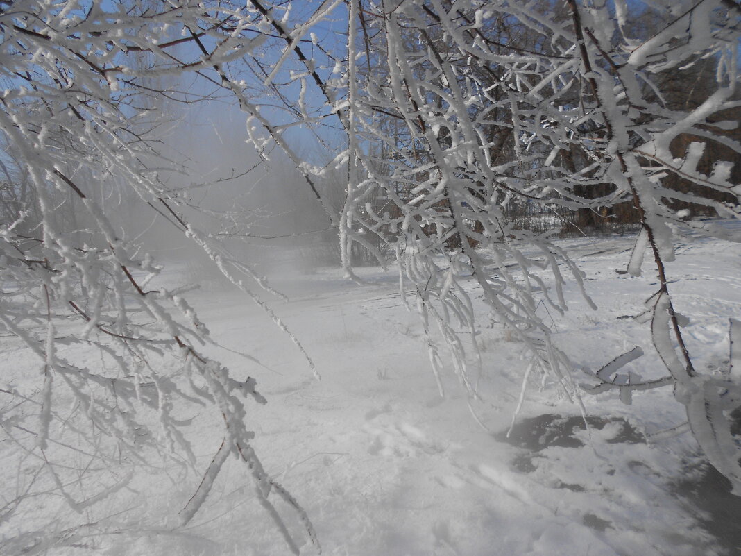 февраль - Елена Шаламова февраль - Елена Шаламова