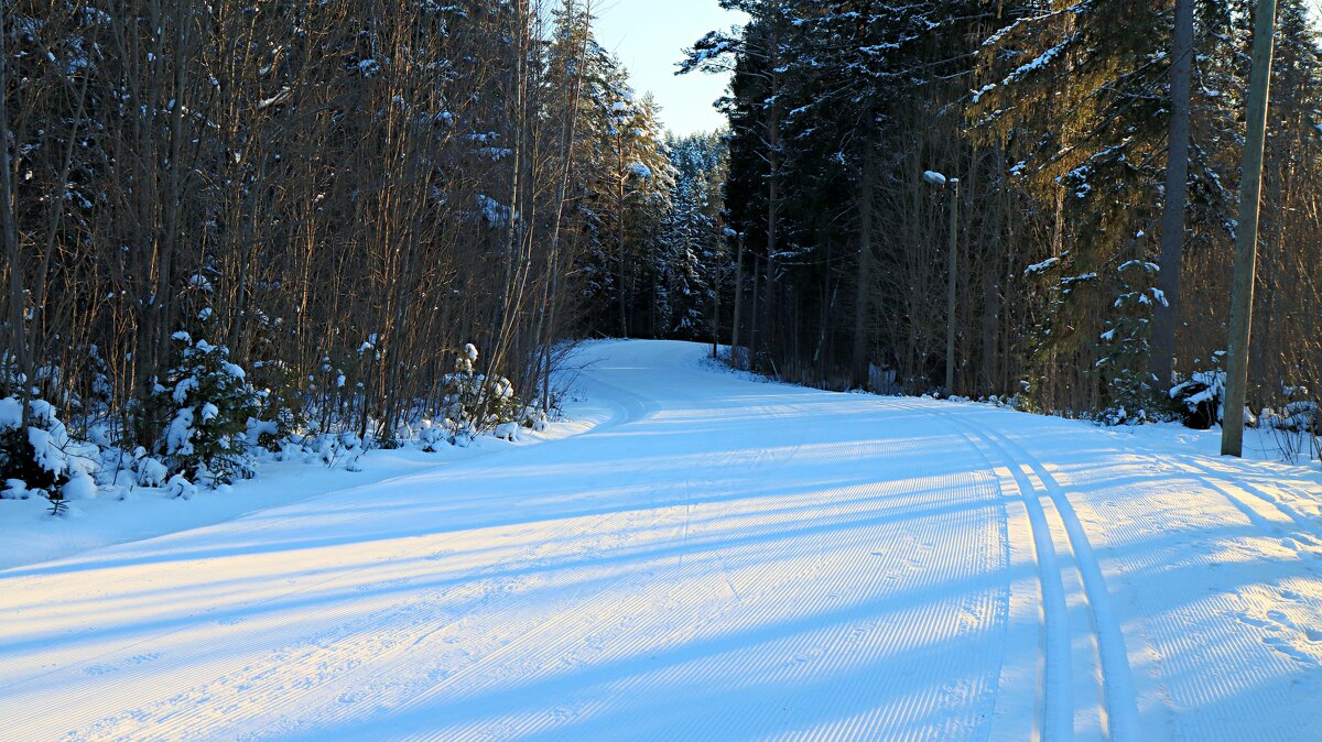 Трассы ждут. - веселов михаил 