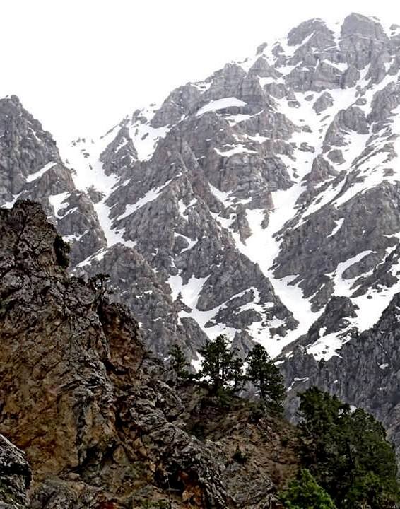 ГОРНАЯ ПРОГУЛКА. - Виктор Осипчук