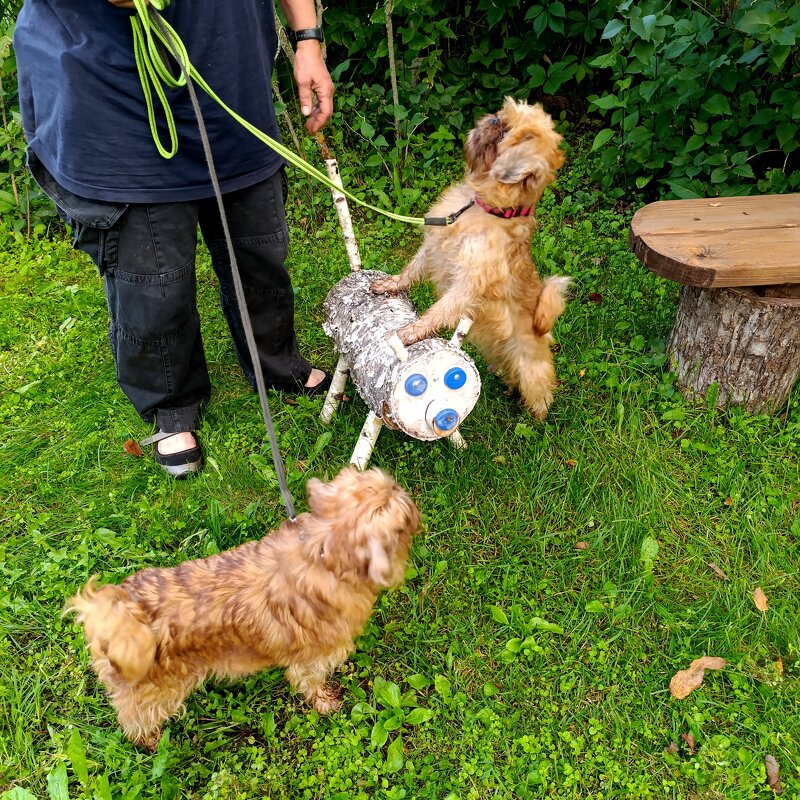 дачные гости берёзового Боба - tatiana дачные гости берёзового Боба - tatiana