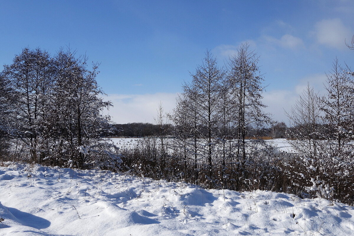 В окрестностях Калининграда - Рита Симонова