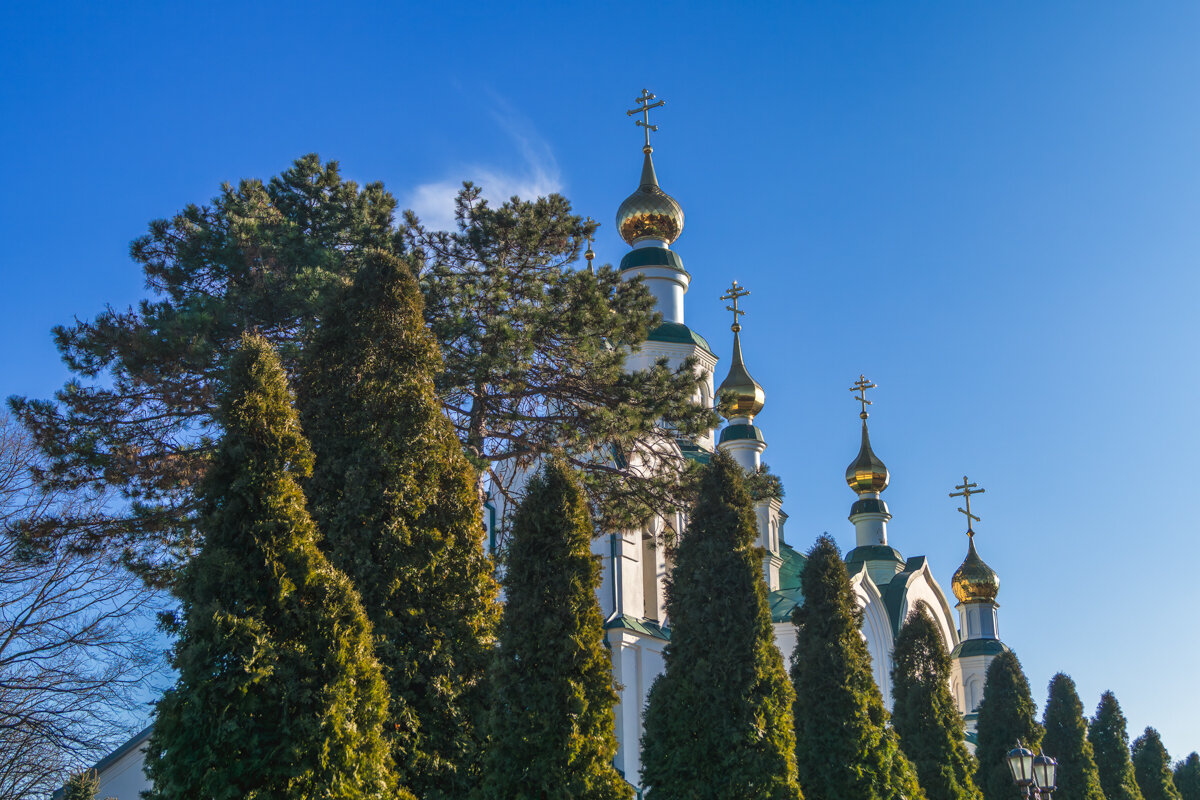 Купола Никольского храма - Игорь Сикорский