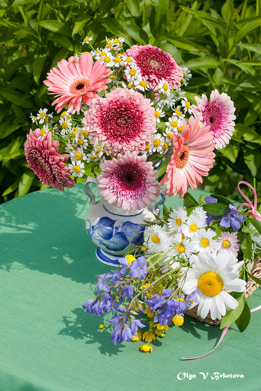 Герберы и ромашки - Ольга Бекетова