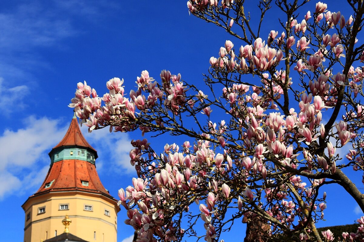 Мартовский денёк - Юрий. Шмаков