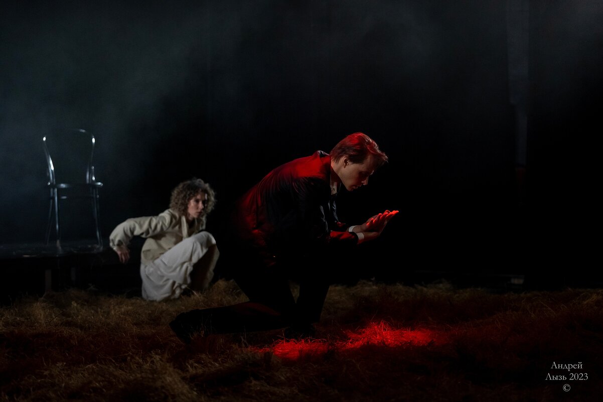 «Чайка» Московский театр «Школа драматического искусства» - Андрей Lyz