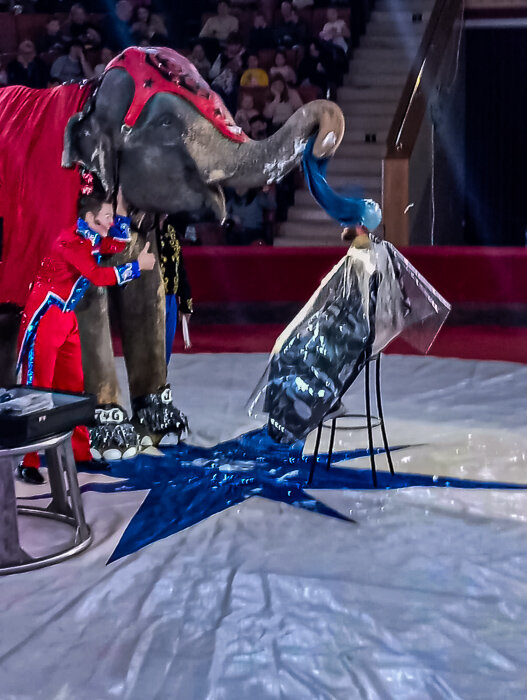 Элитный цирюльник 2 - Светлана SvetNika17