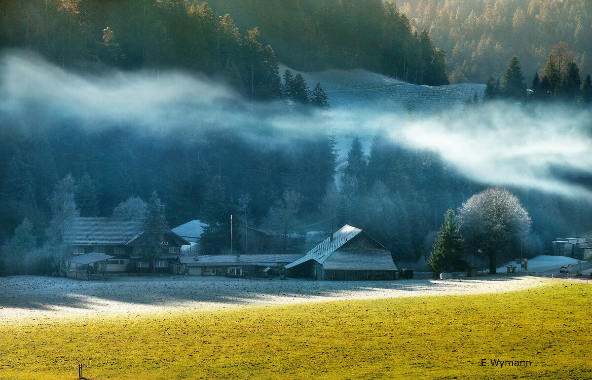 winter view - Elena Wymann