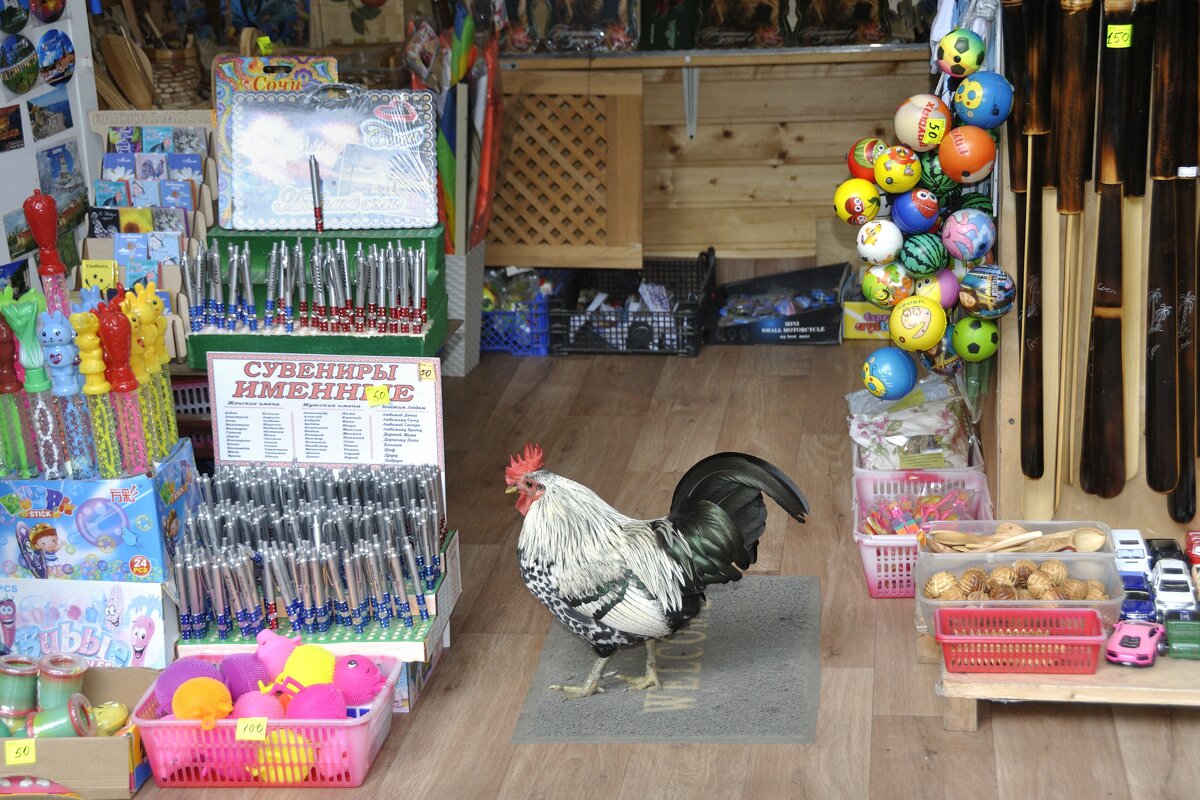 Первый посетитель - Марина Виноградова Первый посетитель - Марина Виноградова