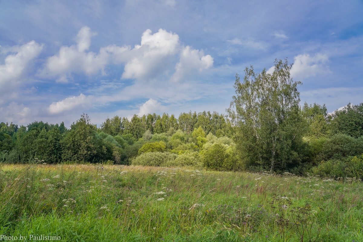 Палитра июля... - Владимир Жданов Палитра июля... - Владимир Жданов