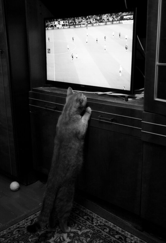 Сергеев проходит по левому флангу, подает на Олейникова... - Maria Rainer