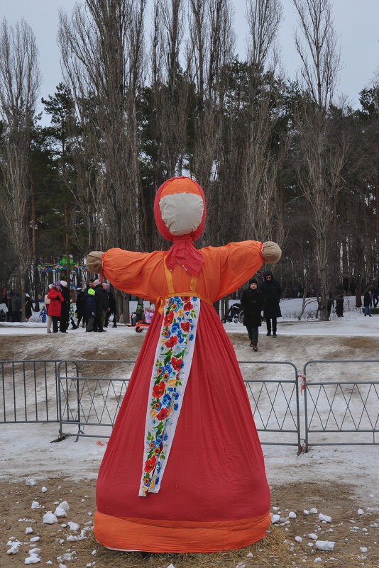 Прощенное воскресение. Ожидание перед сожжением - Татьяна Машошина Прощенное воскресение. Ожидание перед сожжением - Татьяна Машошина