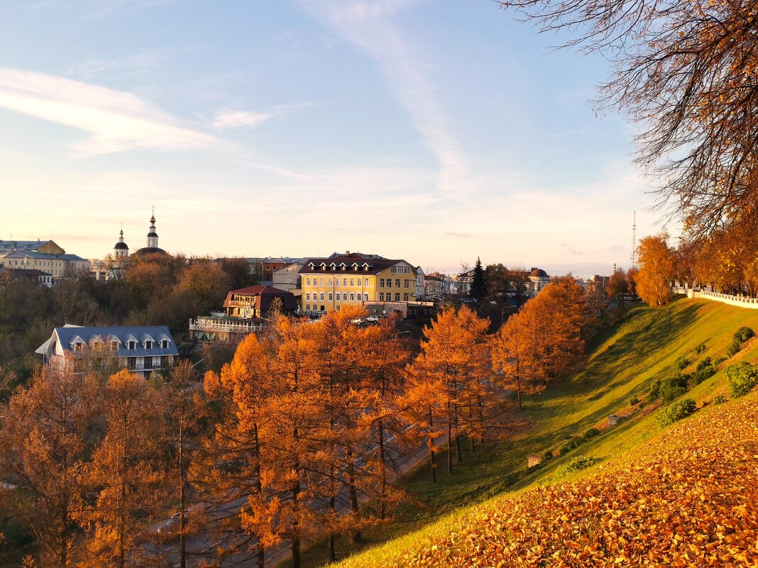 Золотые лиственницы - Евгения Куприянова Золотые лиственницы - Евгения Куприянова