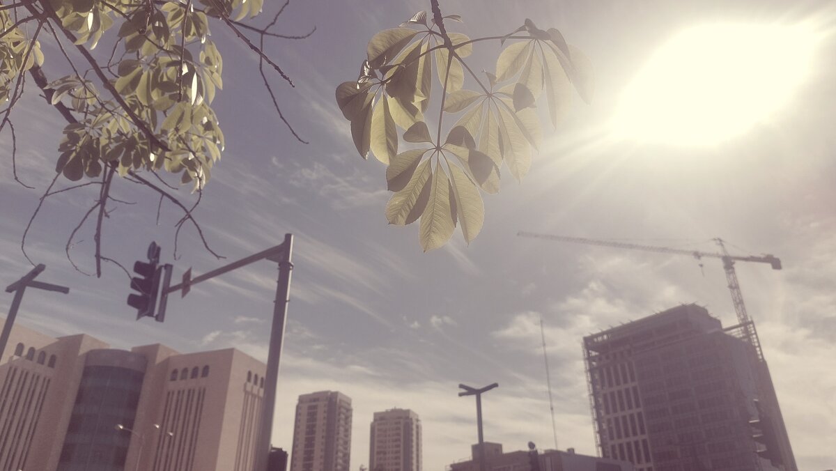 12  КЛОС (649) - CLOSE WAYS ALL