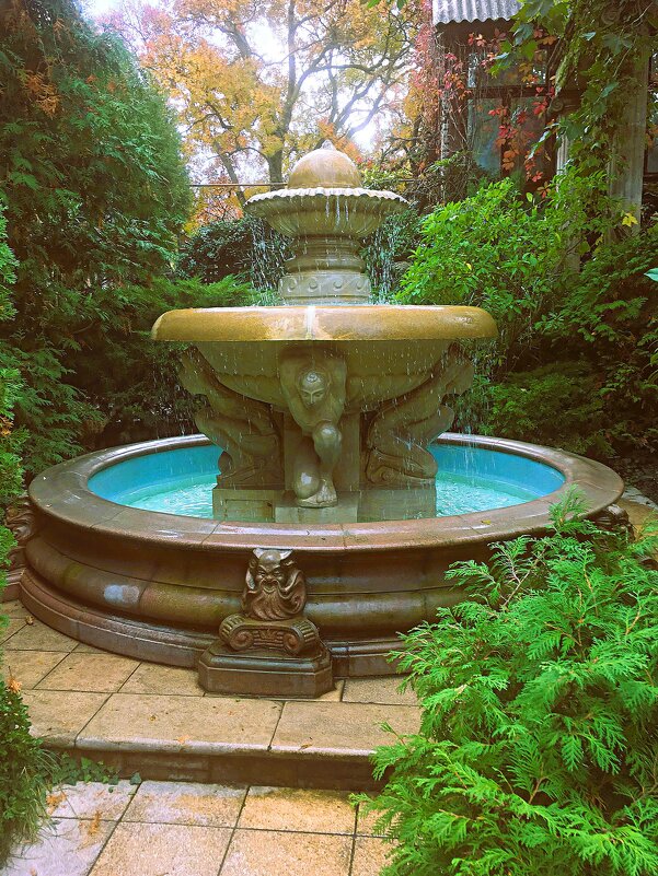 Старый парк в селе Кабардинка. - Виктор Мухин Старый парк в селе Кабардинка. - Виктор Мухин