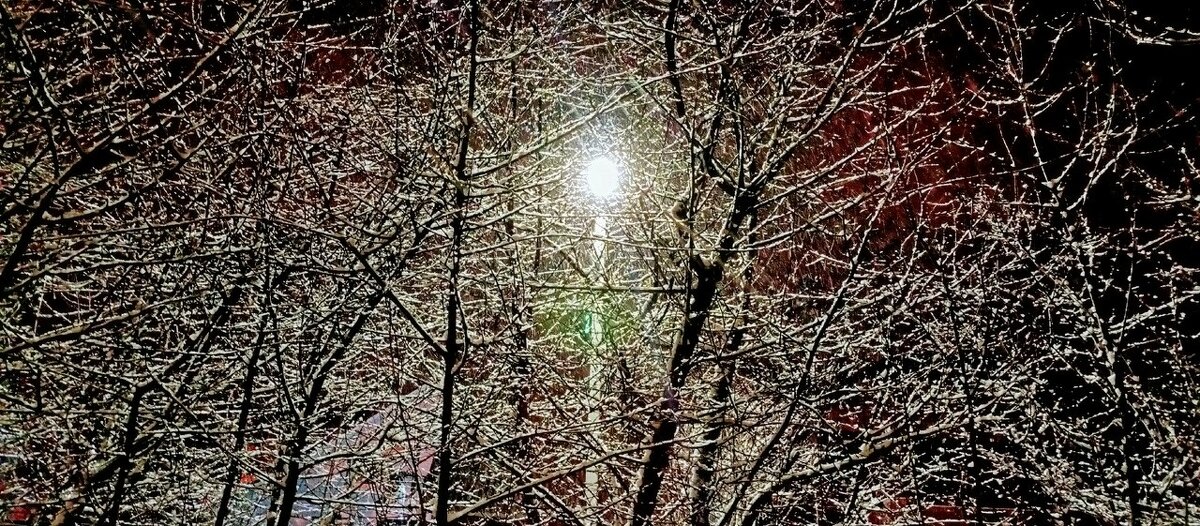 Март снегопад ПОДМОСКОВЬЕ. - Михаил Столяров