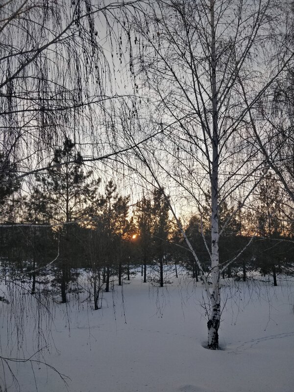 Вечер - Андрей Хлопонин