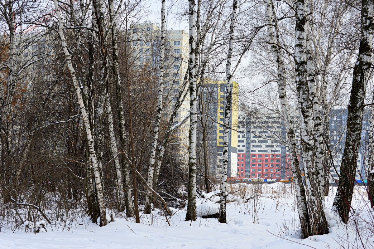 Город наступает - Татьяна Лютаева