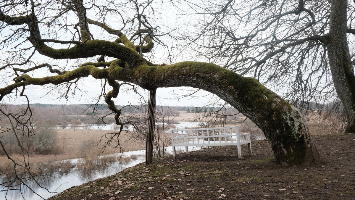 Скамья Онегина. Парк музея-усадьбы Тригорское - Олег Зоркий