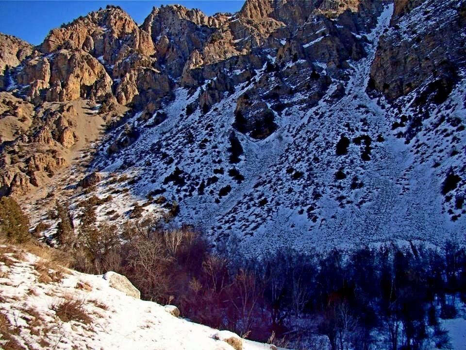 ГОРНАЯ ПРОГУЛКА. - Виктор Осипчук