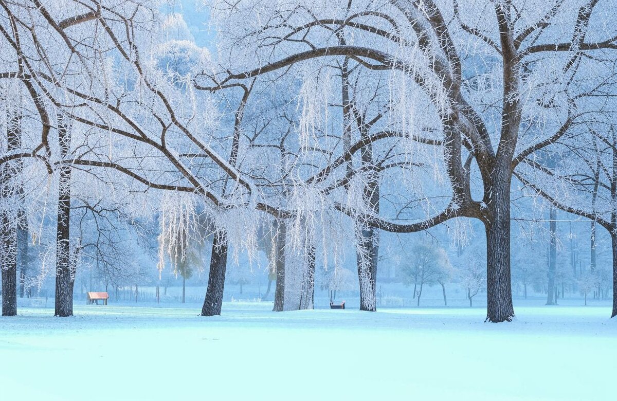 Февральский мороз - Юрий Гайворонскiий