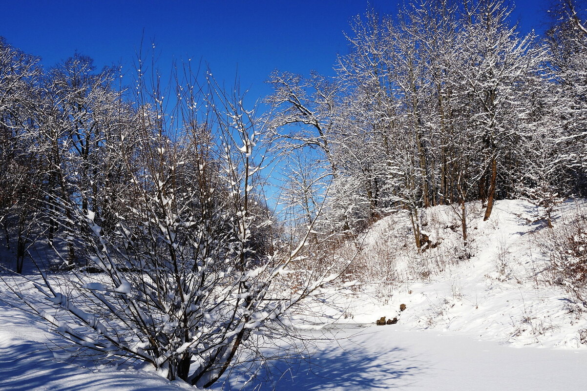 Февраль - Рита Симонова Февраль - Рита Симонова