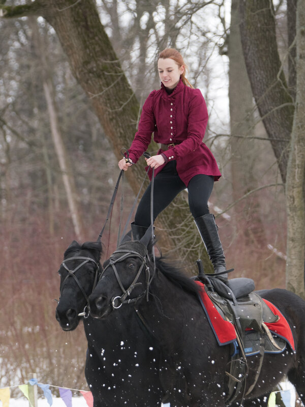 Наездница - Алексей Смирнов Наездница - Алексей Смирнов