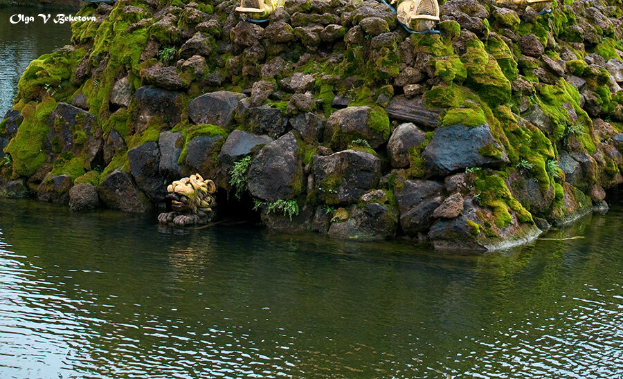 Львенок Петергофа - Ольга Бекетова