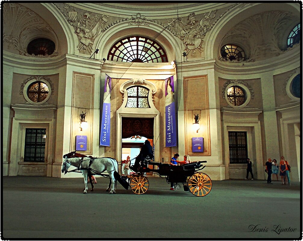 Vena - Denis Lipatov