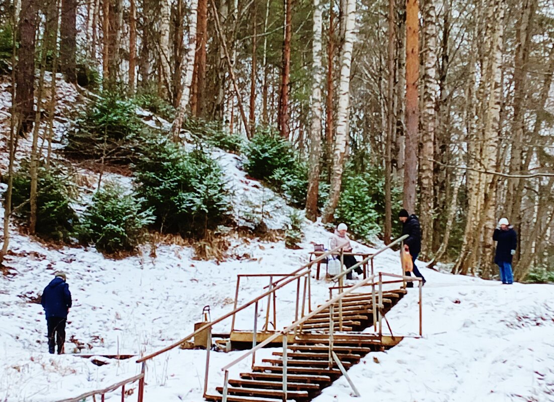 родник лестница природа желающие воду - Владимир родник лестница природа желающие воду - Владимир