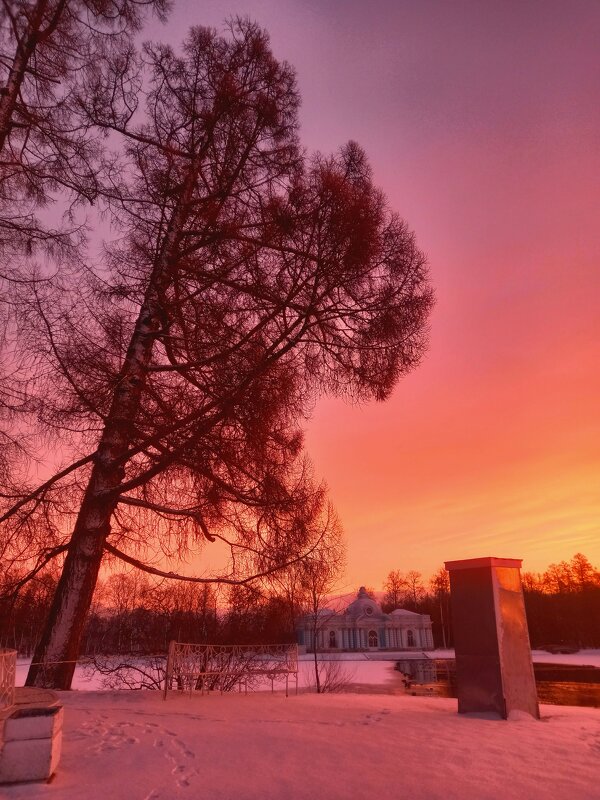 Рассвет - Сапсан 