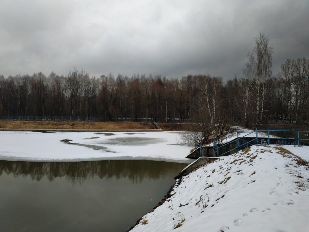 Скромное обаяние марта - Андрей Лукьянов