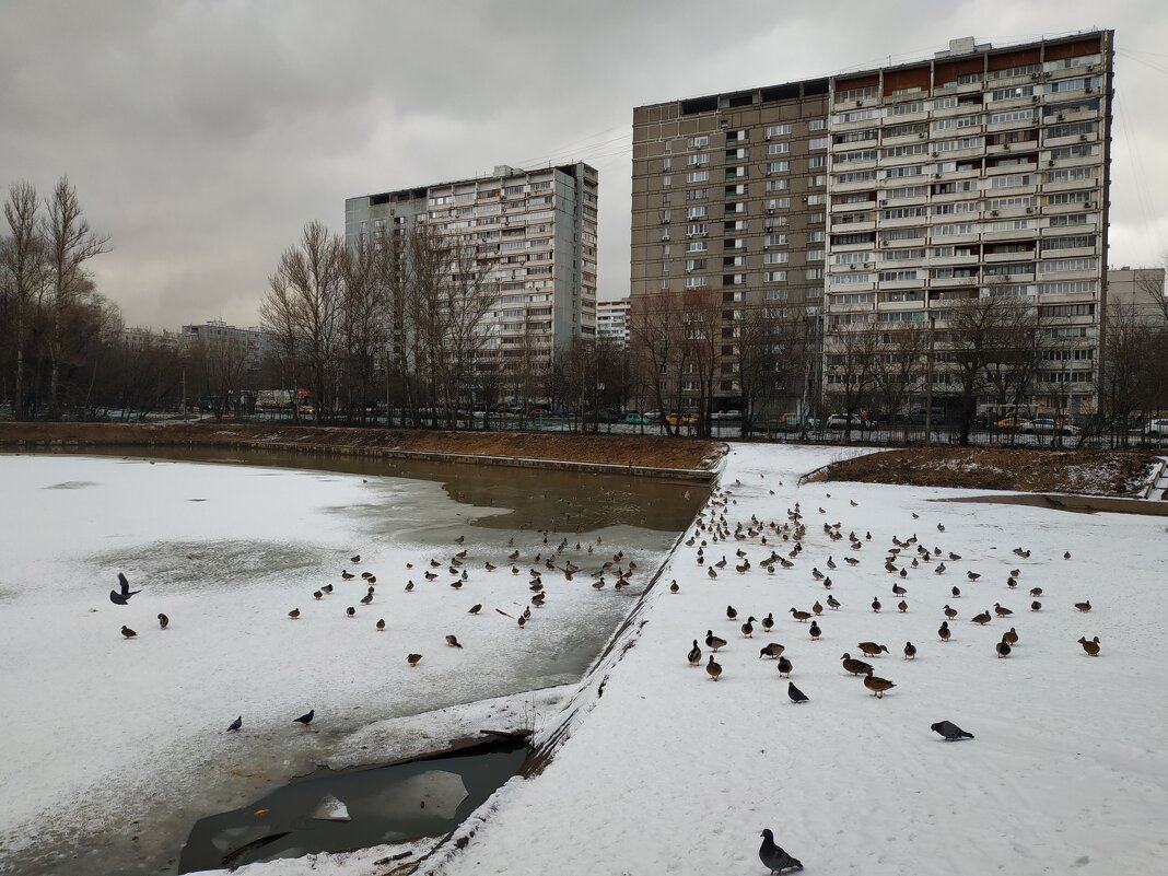 Скромное обаяние марта - Андрей Лукьянов