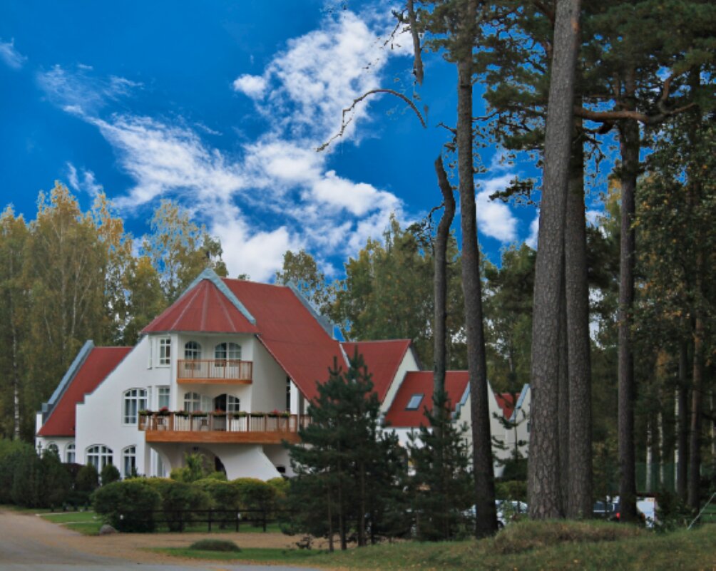 дом - марта Камушкина