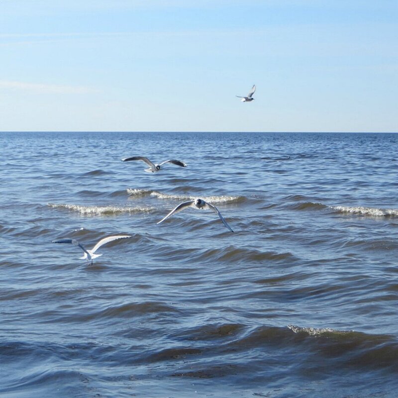 море - марта Камушкина