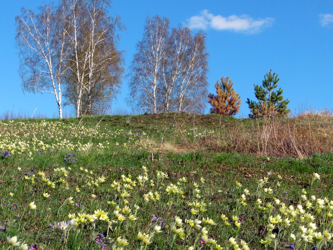Весна будет ! - nadyasilyuk Вознюк